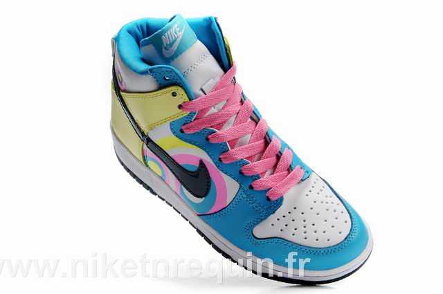gros nike dunk sb (1)